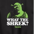 thumbnail image 3 of Shrek - What The Shrek - Toddler & Youth Crewneck Fleece Sweatshirt, 3 of 5