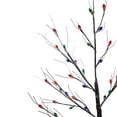 thumbnail image 3 of Northlight 4' Pre-Lit LED Brown Artificial Christmas Tree- Multi-Colored lights, 3 of 4