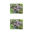thumbnail image 3 of Toystoory DIY 5D diamante pintura bordado Animal patrón punto de cruz imagen Kit dibujos animados Animal cristal diamante pintura decoración 2 # 2piezas, 3 of 6