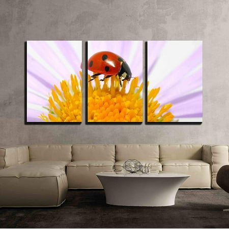 3 Piece Bug wall26 - 3 Piece Canvas Wall Art - Ladybug Sits on a Flower Petal - Modern Home Decor Stretched and Framed Ready to Hang - 24