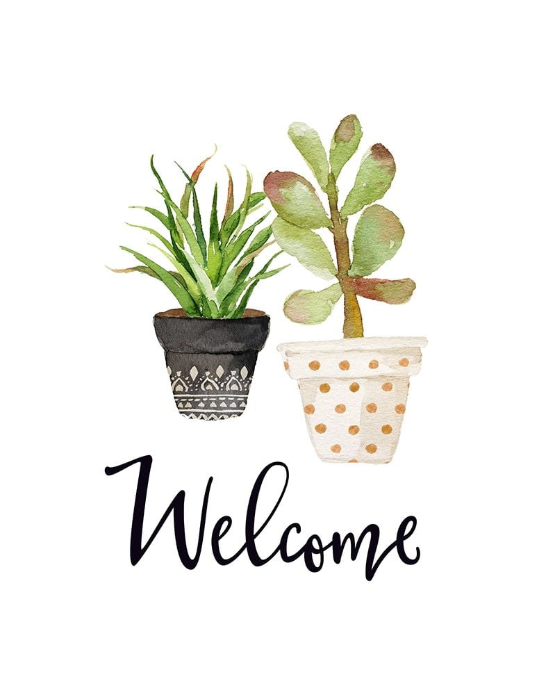Succulents Poster Print by Tara Moss