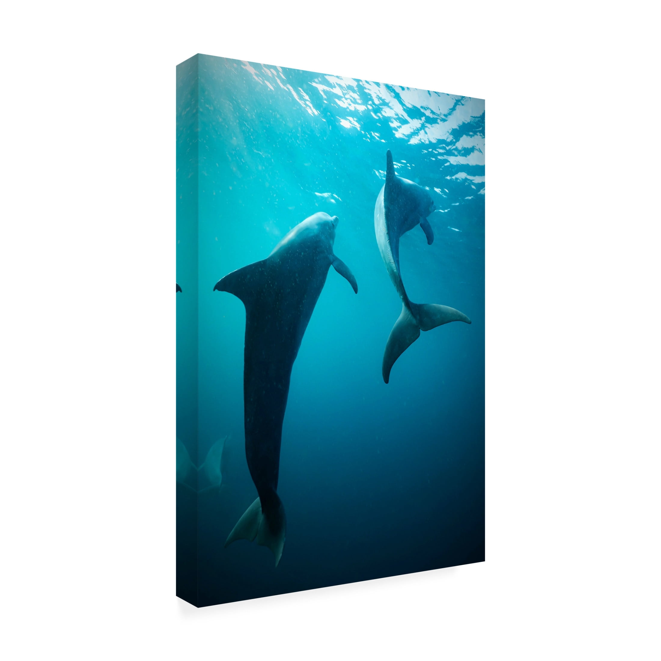 Trademark Fine Art Serge Melesan  Shapes of water Canvas Wall Art