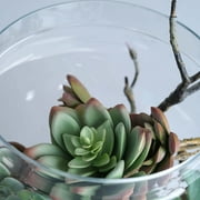 Efavormart Set of 3 Glass Apothecary Candy Jars With Lids - 10/12/14