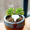 thumbnail image 2 of 100 PCS T Type Label Insertion Plate PP Plastic Label Gardening Label Gardening Supplies Flower Plate, 2 of 5