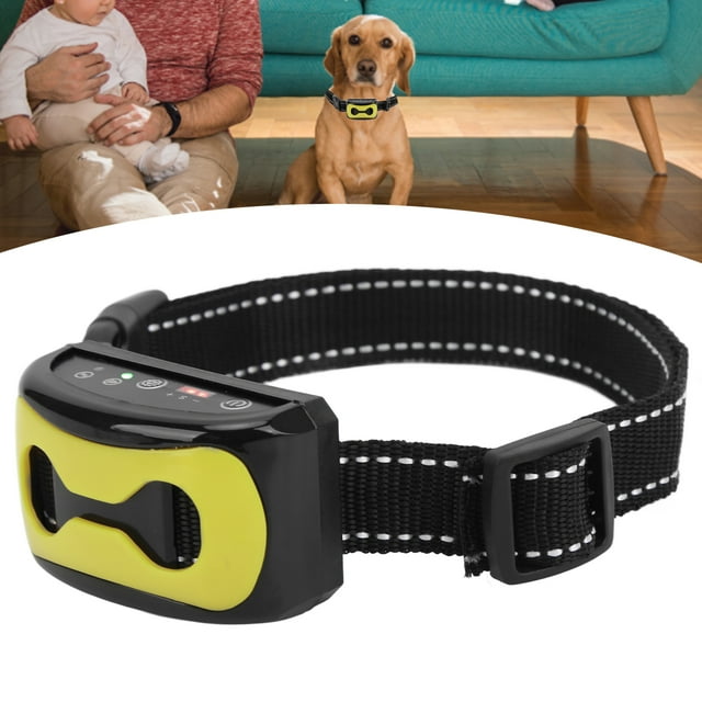 Collier Anti-Aboiement pour Chien Identification Automatique Collier d'Entraînement Étanche