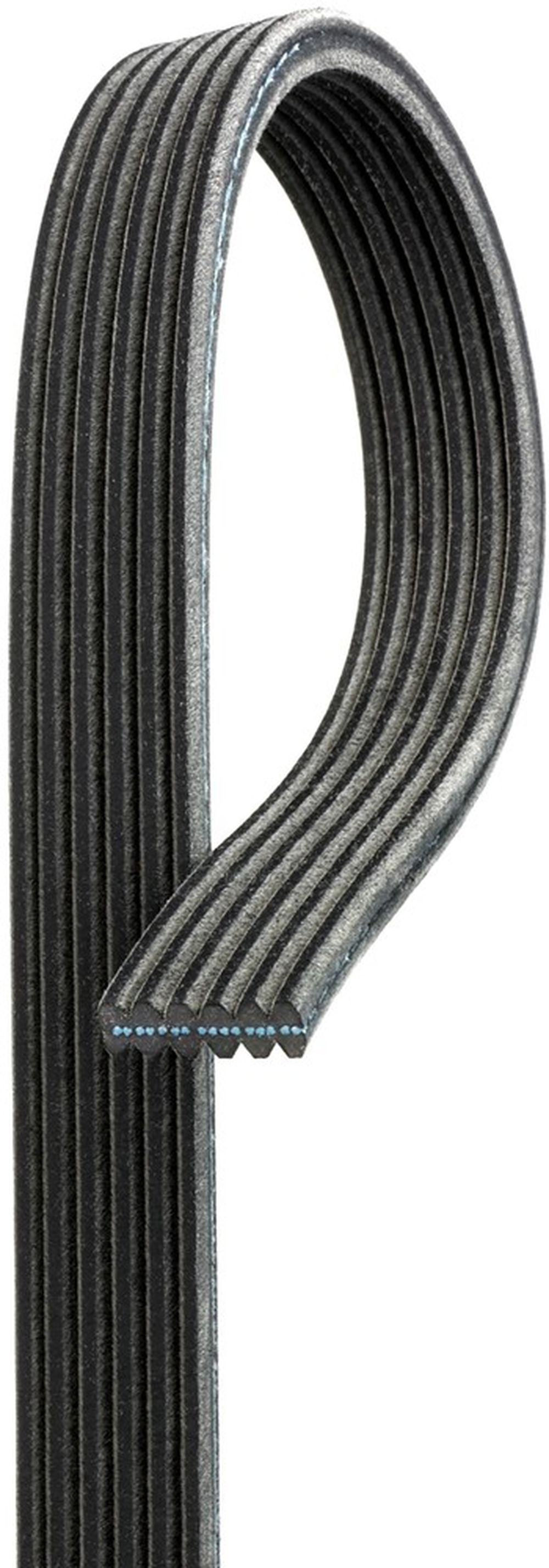 Serpentine Belt