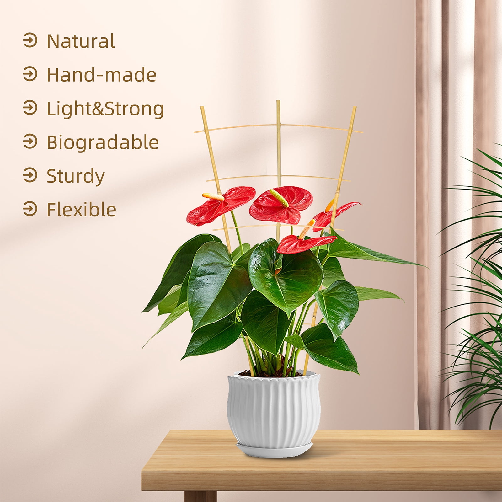 2ft Fan-Shaped Bamboo Trellis-Indoor Plant Support for Climbing Plants, Vegetables, and Potted Plants 3pcs