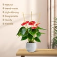 thumbnail image 6 of 2ft Fan-Shaped Bamboo Trellis-Indoor Plant Support for Climbing Plants, Vegetables, and Potted Plants 3pcs, 6 of 8