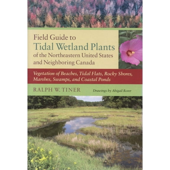 Field Guide to Tidal Wetland Plants of the Northeastern United States and Neighboring Canada: Vegetation of Beaches, Tid, (Paperback)