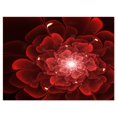 thumbnail image 2 of Designart 'Fractal Flower Clear Red Digital Art ' Floral Canvas Art Print, 2 of 3
