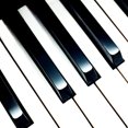 thumbnail image 4 of LEEYNEER 7Pcs Piano Keytops With Brightening Keyboard Features In White Plastic  Owners, 4 of 8