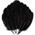 thumbnail image 1 of 200pcs Goose Nagoire Feathers for Fly Tying and Crafts, 1 of 1