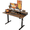 Dark Walnut, variant on Agilestic 48*24 Inch Electric Standing Desk with Drawers, White