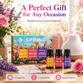 thumbnail image 3 of AMK Spring Home Diffuser Oil Set, 3 Pack Fragrance Scents – Myrtle, Rose Oud, Lavender Eucalyptus, 10ml Bottles, 3 of 6