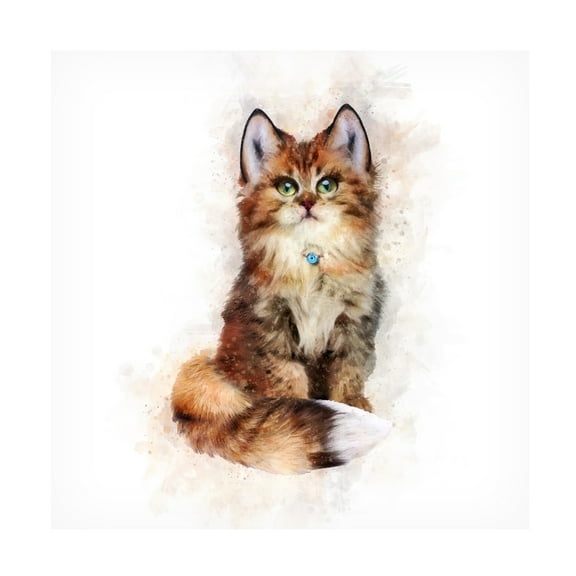 Trademark Fine Art Emel Tunaboylu  Baby Cat Canvas Wall Art