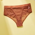 thumbnail image 2 of VONCOS Womens Breathable Lace Trim Underwear Mid Rise Mesh Briefs Wide Waistband Soft Panties Brown,Size S, 2 of 8