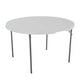 thumbnail image 1 of Mesa Lifetime Plegable para Exterior 121 cm Blanco, 1 of 4