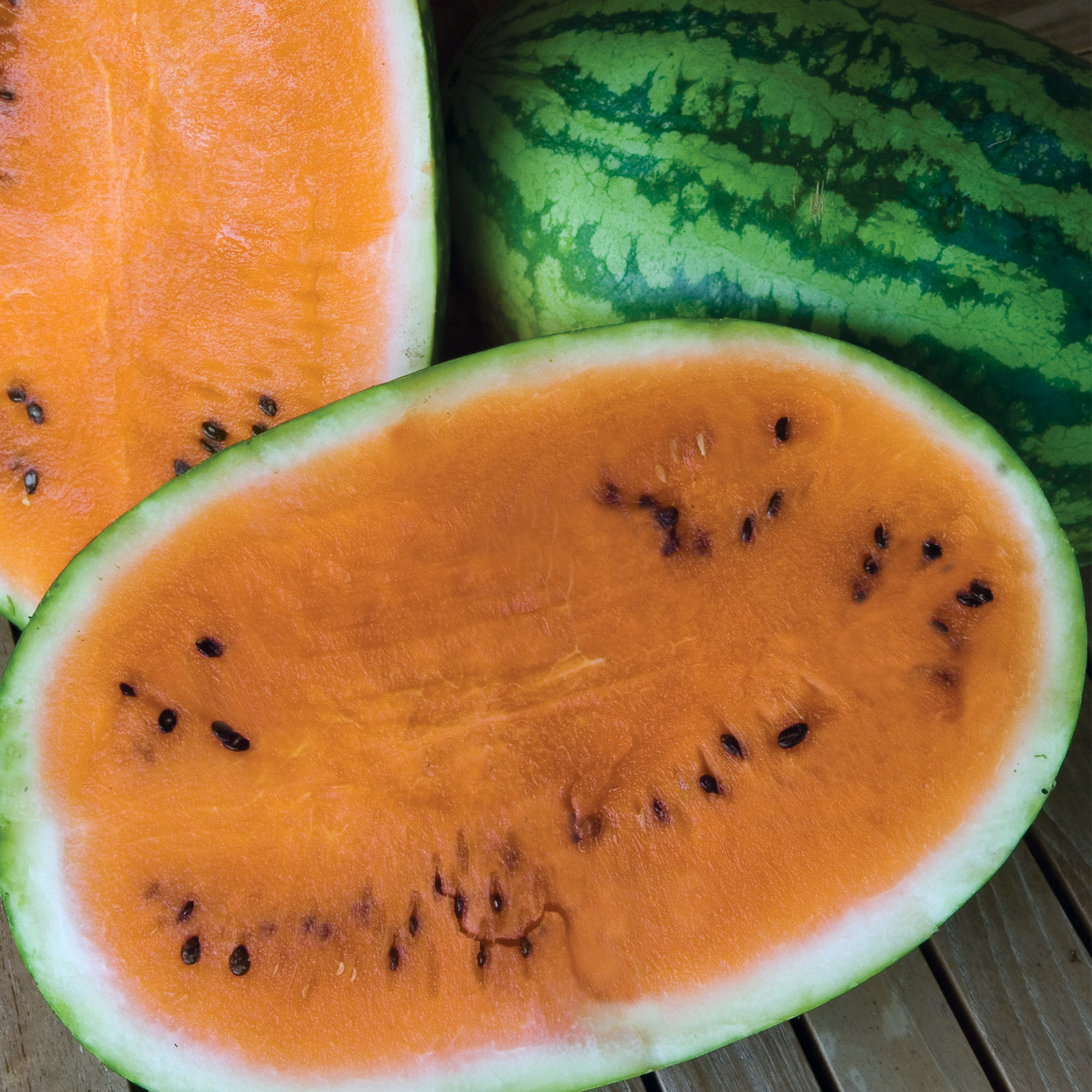 Burpee Orange Tendersweet Watermelon Vegetable Seed, 1-Pack