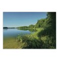 thumbnail image 1 of Lake Forest Cutting Board, Coastline Forest with Lake Rural Wild Sunny Nature Photo, Decorative Tempered Glass Cutting and Serving Board, in 3 Sizes, by Ambesonne, 1 of 2