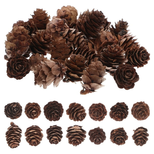 100 piñas decorativas: adornos rústicos de piñas naturales a granel para mesa, árbol de Navidad, manualidades, Acción de Gracias, Navidad, decoración del hogar.