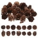 thumbnail image 1 of 100 piñas decorativas: adornos rústicos de piñas naturales a granel para mesa, árbol de Navidad, manualidades, Acción de Gracias, Navidad, decoración del hogar., 1 of 7