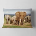 thumbnail image 2 of Designart Large Elephant Herd in Africa - African Throw Pillow - 12x20, 2 of 5