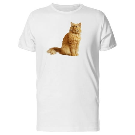 Angora Cat - Angry Red Cat Looking Away Tee Men's -Image by Shutterstock