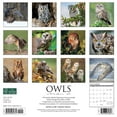 thumbnail image 2 of Owls 2024 12 X 12 Wall Calendar (Home of Office Calendar) Willow Creek Press, 2 of 4