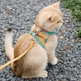 thumbnail image 4 of BotaniNest Cat Harness Cat Soft And Breathable Vest Cat Leash Easy To Wear For Cats Walking And Traveling, 4 of 4