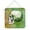Day Of The Dead Green Skull, variant on Day of the Dead Teal Skull Wall or Door Hanging Prints