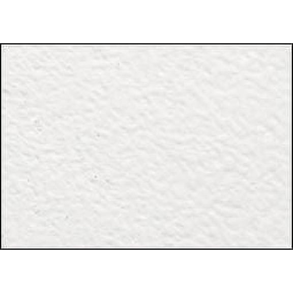 Panelli Panel A Olio 8x10"