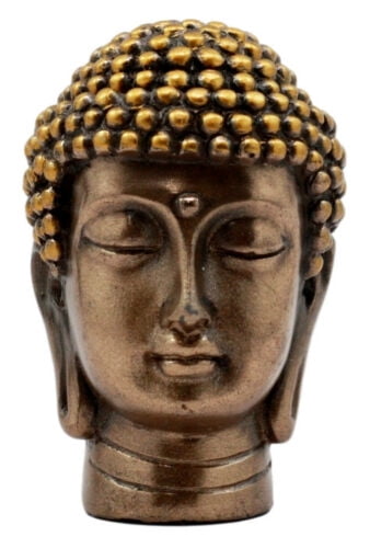 buddha knowledge