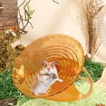 thumbnail image 6 of Hamster Exercise Wheel, Silent Running Wheel for Small Pet, hamster wheel with Stable Base, Cage Accessory for Dwarf Hamsters Gerbils Mice, Pet Supplies Clear, 1Pcs, 6 of 7