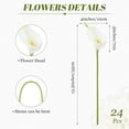 thumbnail image 7 of 24 Pcs Artificial Calla Lily Flowers Fake Silk Flower Real Touch for Wedding Office Home Kitchen Decor (White), 7 of 7
