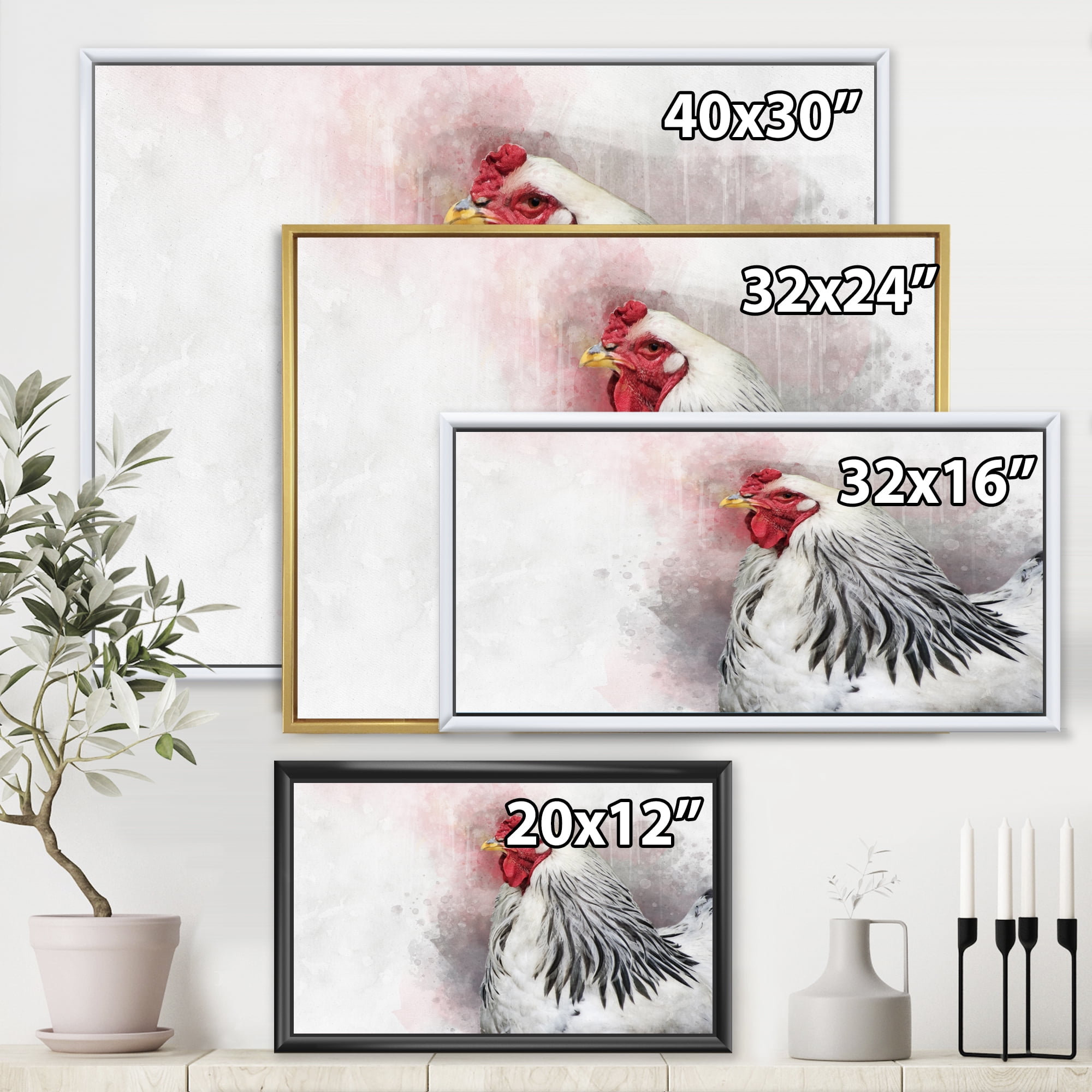 Close Up Of White Columbia Brahma Rooster Bird 20 in x 12 in Framed Painting Canvas Art Print, by Designart