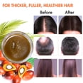 thumbnail image 4 of Aceite para el crecimiento del cabello, aceite de batana MISICH, 156 ml, 100% natural, 4 of 8