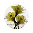 thumbnail image 1 of cuadro decorativo hibiscos fragoso lienzo by suma  1 pieza 80 X 80 CM, 1 of 2