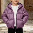thumbnail image 2 of Afuyipoi Toddler Boys Puffer Hooded Coat Quilted Zip Up Thickened Warm Winter Jacket Outdoor Play Size 0-7Y Purple Size 3T, 2 of 9