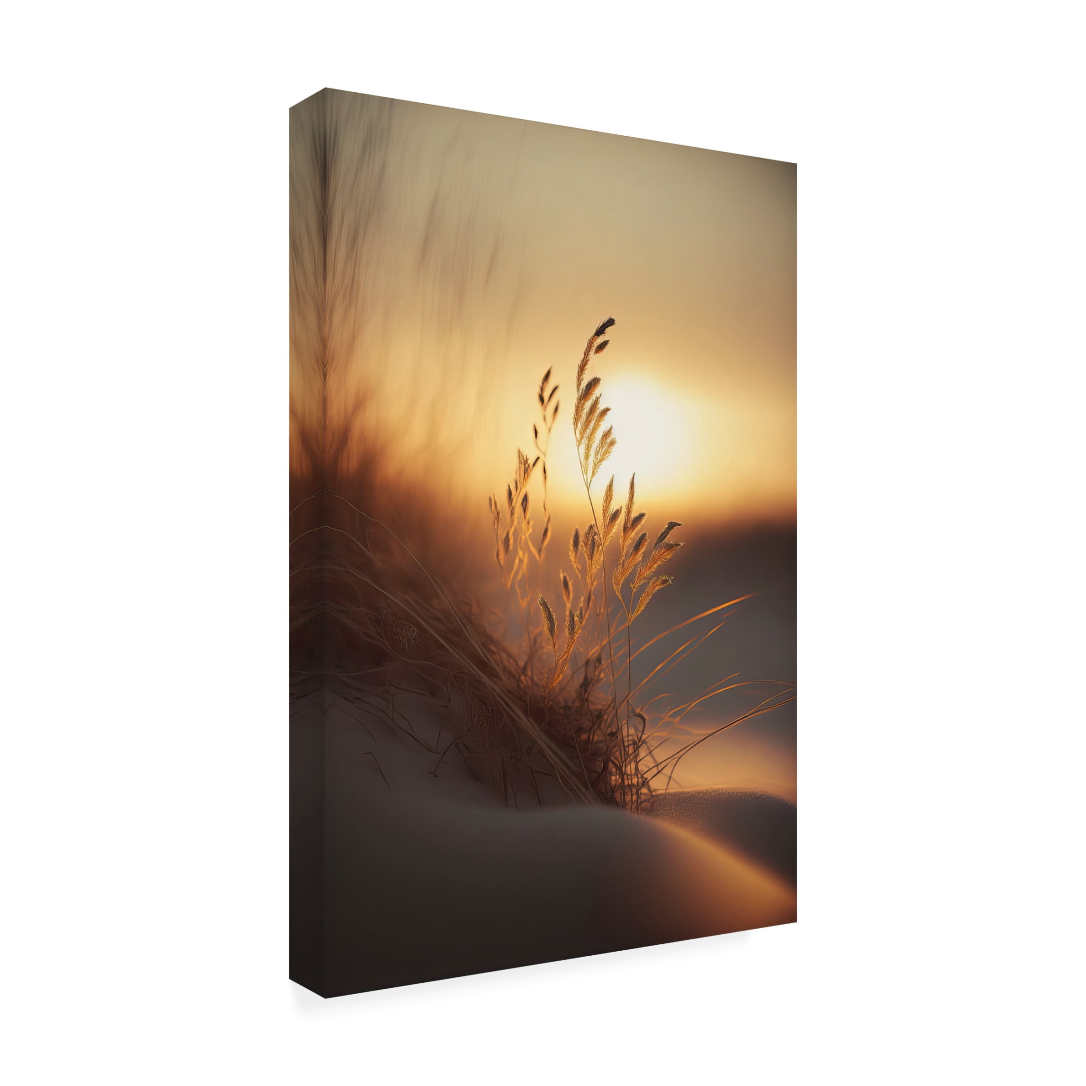 Canvas Wall Art - Treechild 'Evening Sun At The Beach' Wall Art for Living Room, Bedroom, or Office D?cor by Trademark Fine Art - 30 x 47 Inches