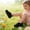 as the picture shows, variant on Dpytoraw Breathable Slip On Sneakers For Girls Lightweight Soft Sole Casual Walking Shoes Comfortable Mesh Upper Toddler Kids Footwear Lightweight Girls Athletic Shoes Size 4