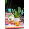 thumbnail image 5 of Snak Club Tajin Toasted Corn, 5 of 5
