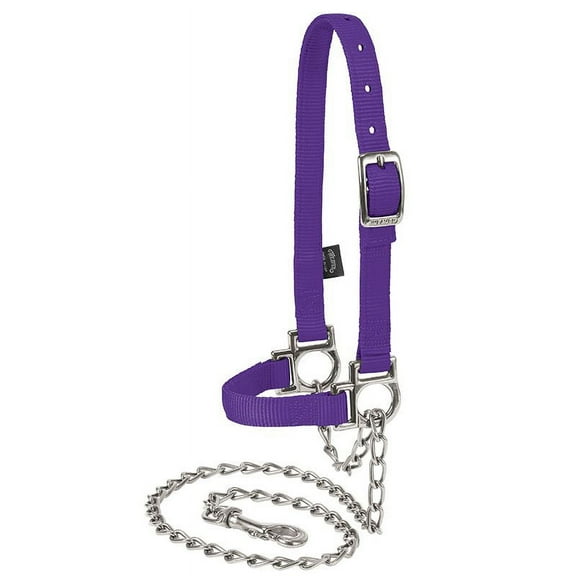 Weaver Leather Nylon Adj Sheep Halter w/Chain Lead Purple