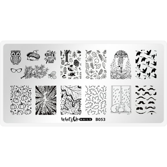 Whats Up Nails B053 That's Pretty Autumn! Metal Stamping Plate for Nail Art Design