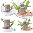 thumbnail image 2 of Lucky Brazilian Wood Stump Fast-growing Mini Tree Good Fortune Decoration Air Purifying Plant Desktop Ornament, 2 of 5