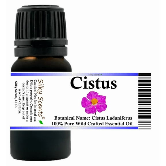 Cistus Wild Crafted Essential Oil 5 ml (1/6 fl oz) - 100% Pure and Natural by Silky Scents