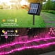 thumbnail image 2 of Luces solares en forma de cuerda QITONG de 2 x 10 m, 100 LED, color rosa, impermeables, 2 of 7