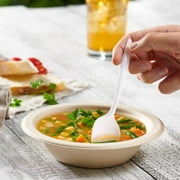 Pantry Value Everyday Disposable Plastic Spoons for Soup, Lightweight Cutlery, White, 400 Count