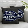 thumbnail image 3 of National Park Florida Vintage Crocodile Souvenir Throw Pillow, 3 of 5