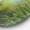 thumbnail image 3 of Designart 'Crane Hunting A Frog' Farmhouse Circle Metal Wall Art 23x23 - Disc of 23, 3 of 5