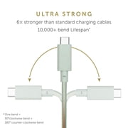 Native Union Desk Cable – USB Type C 8ft Ultra-Strong Non-Slip Fast Charging Cable (Sage)